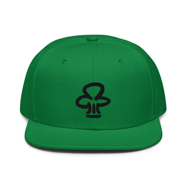 Green Snapback Hat